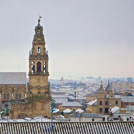 Lägenhet Plaza De Austria Córdoba